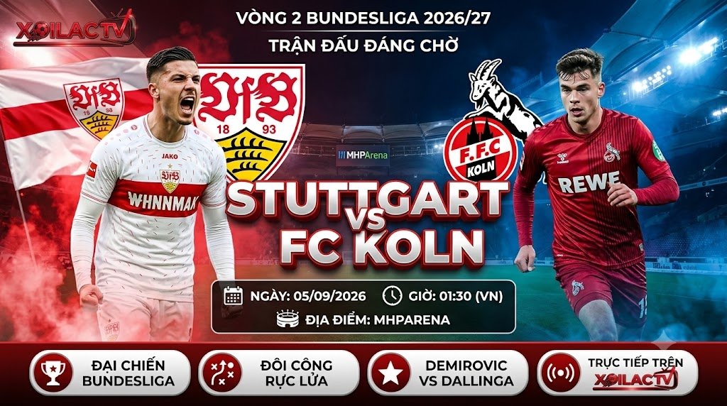 Nhận định, soi kèo trận đấu Stuttgart vs FC Koln lúc 01h30 ngày 5/9 - Trực tiếp bóng đá Bundesliga trên Xoilac TV.